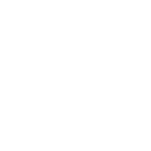 Pick-up RV/Camper